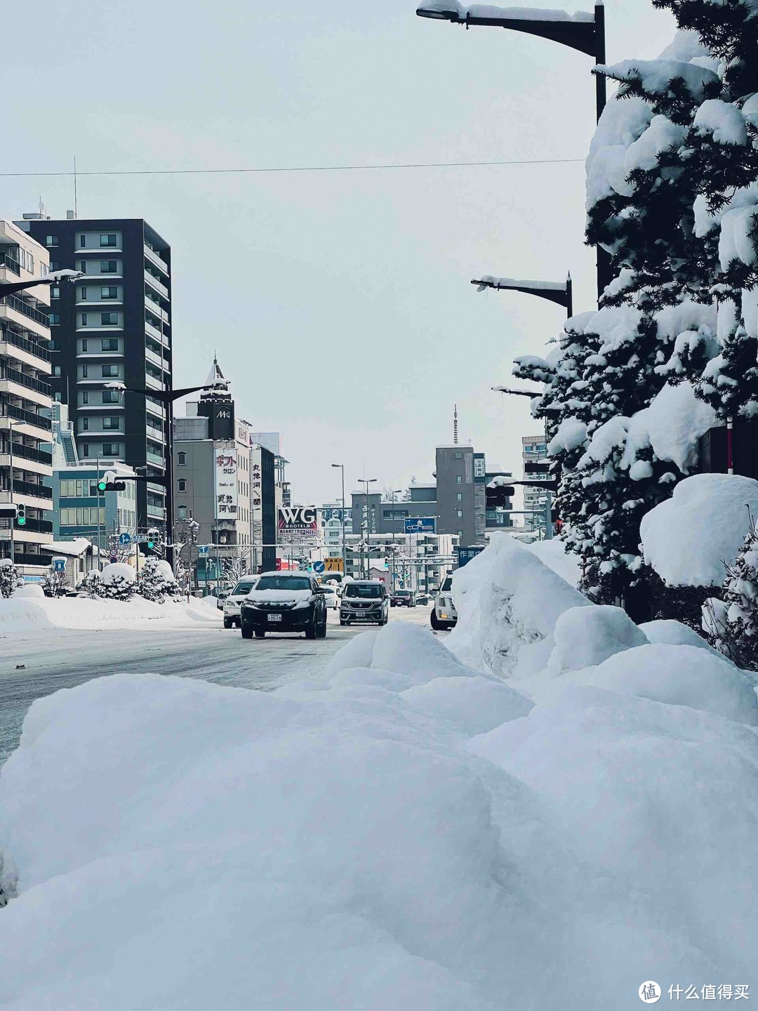 看企鹅滑滑雪、吃美食买买买帮你探路！老纪的2024年3月的北海道札幌、东京之旅记录